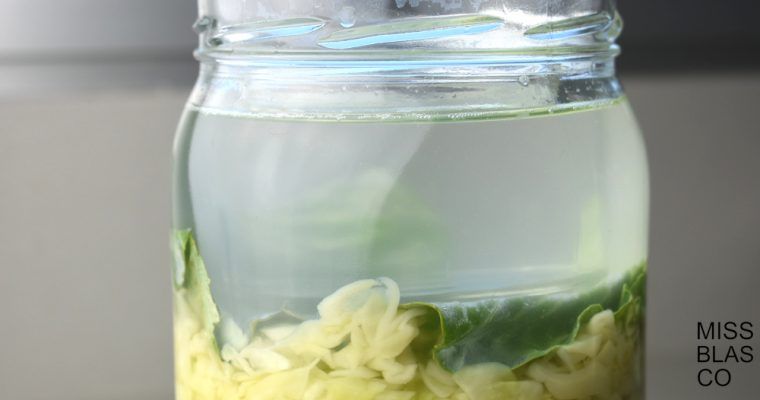 how to ferment cabbage