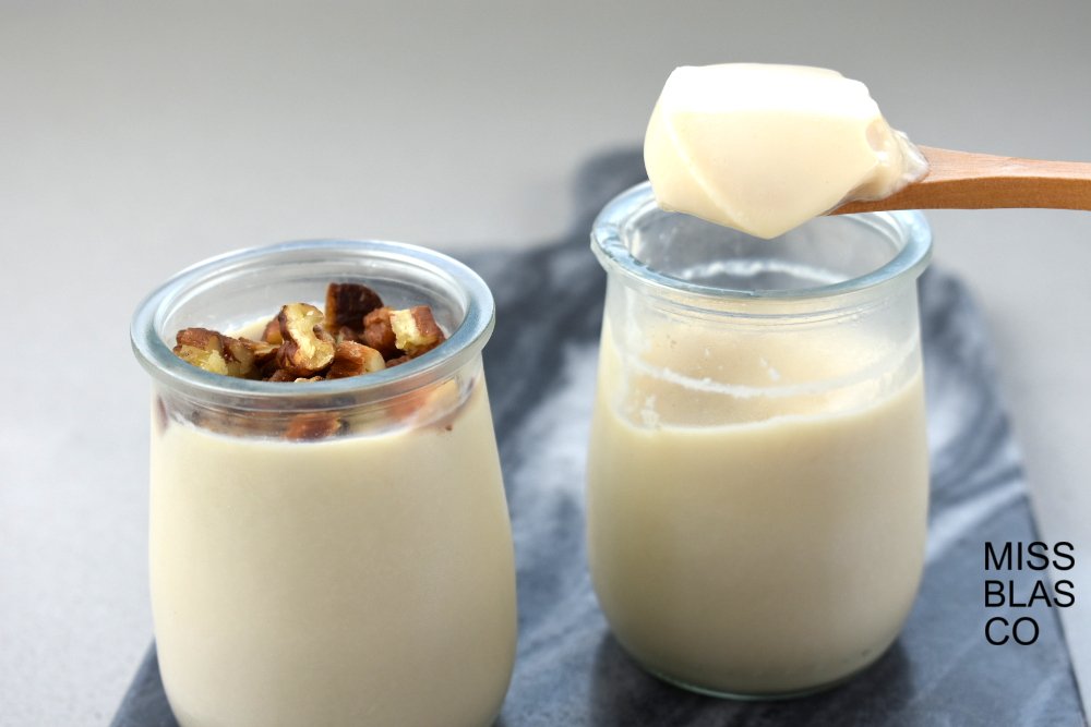 yogur de soja casero
