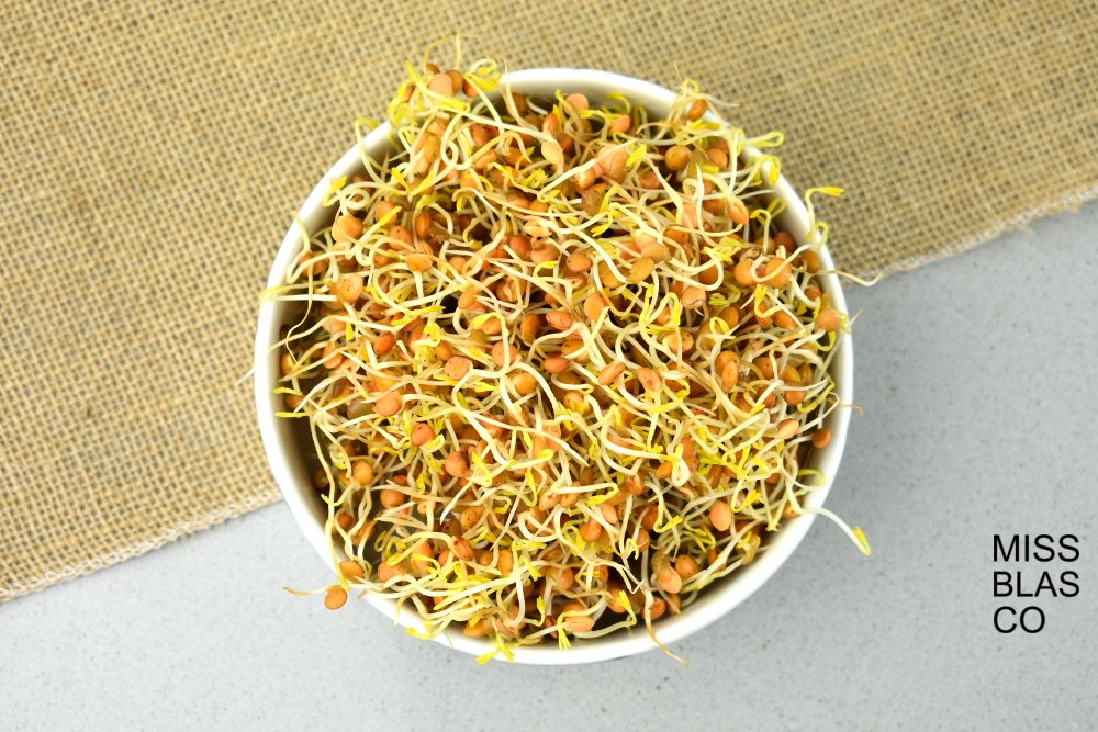 lentejas germinadas