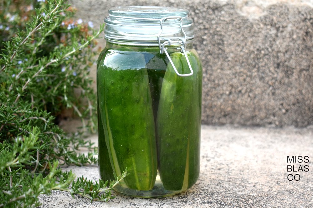 pepinos fermentados