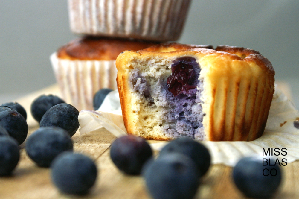Low carb blueberry cottage cheese muffins RECIPE MISS BLASCO