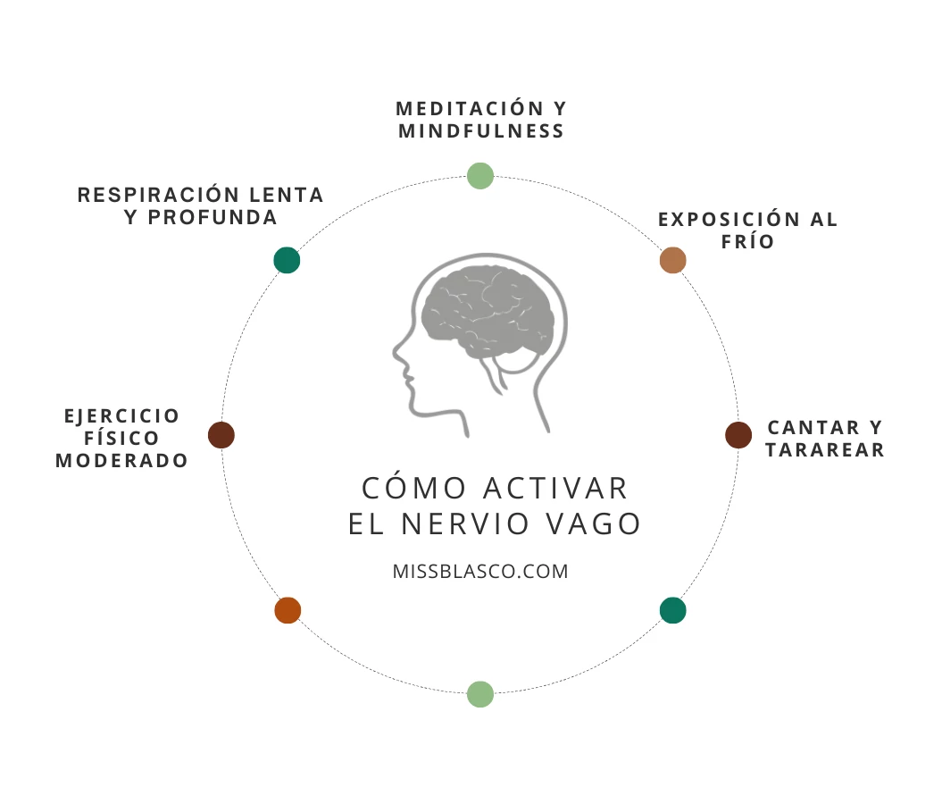 cómo estimulat y activar el nervio vago 